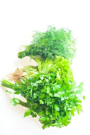 Fresh green Herbs