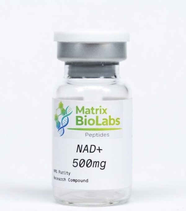NAD-500mg-vial-2.jpg